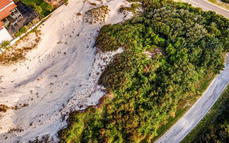 The North Florida Land Trust announced last week it had raised more than $1.3 million to purchase three parcels of land in American Beach in an effort to protect the Little NaNa Dune.