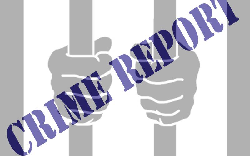 News-Leader Crime Report